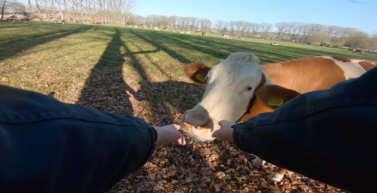 Maak een virtuele voorjaarswandeling door de natuur!