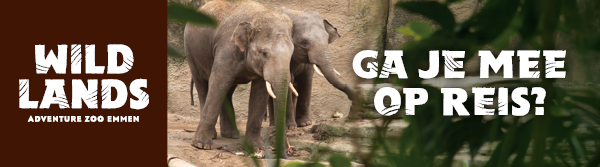 Dreamnight at the Zoo in Emmen 14 juni 2024