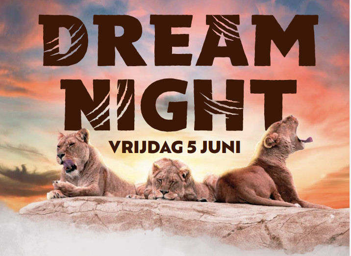 Dreamnight at the zoo: beleef een bijzondere avond in de dierentuin!